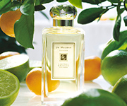 LIME BASIL & MANDARIN