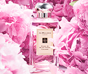 PEONY & BLUSH SUEDE